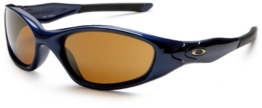 discontinued oakley goggles